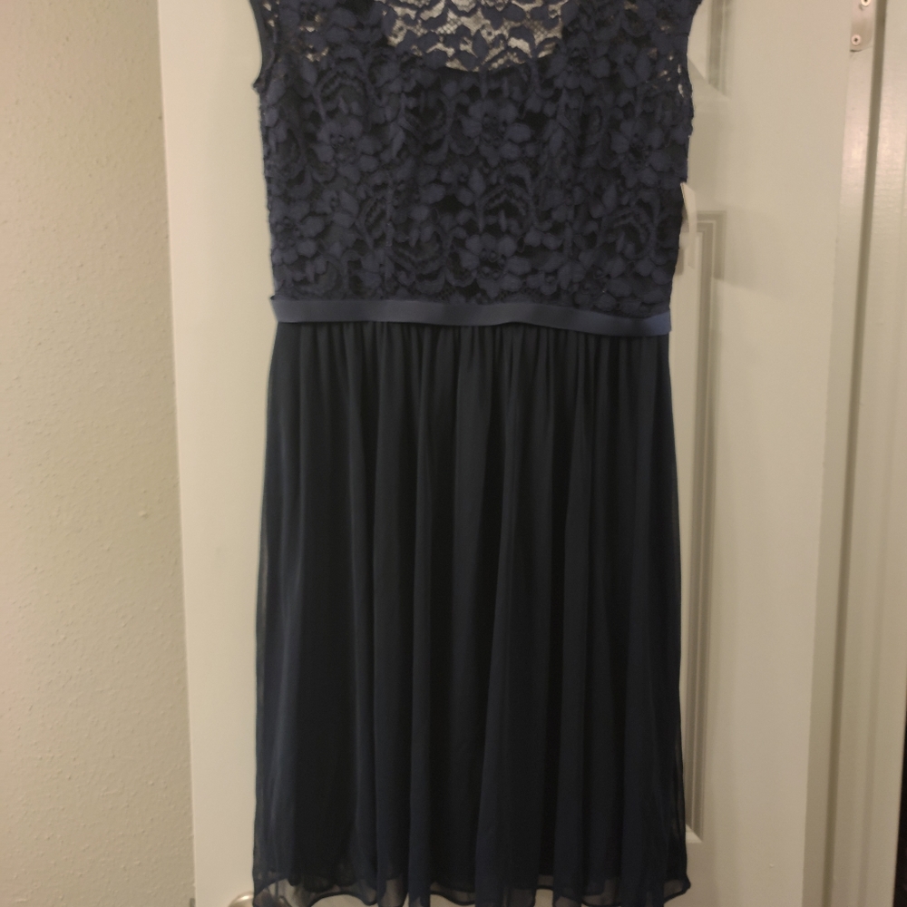 David's bridal bridesmaid/formal dress
